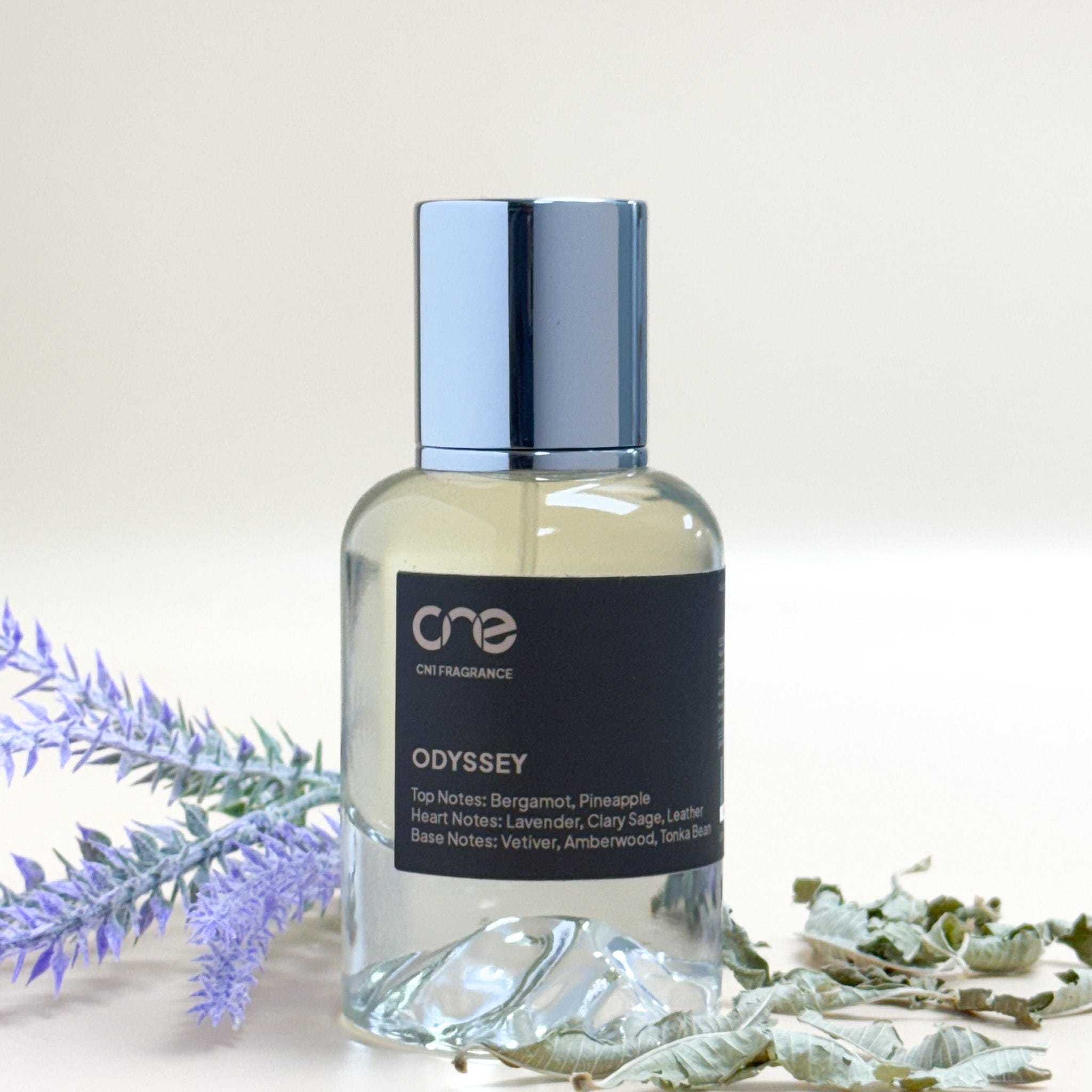 CN1 Fragrance Men 50ml Odyssey